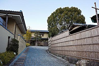 《推币勇者》今日正式上线 35元推百万硬币！从未打过如此富裕的仗！